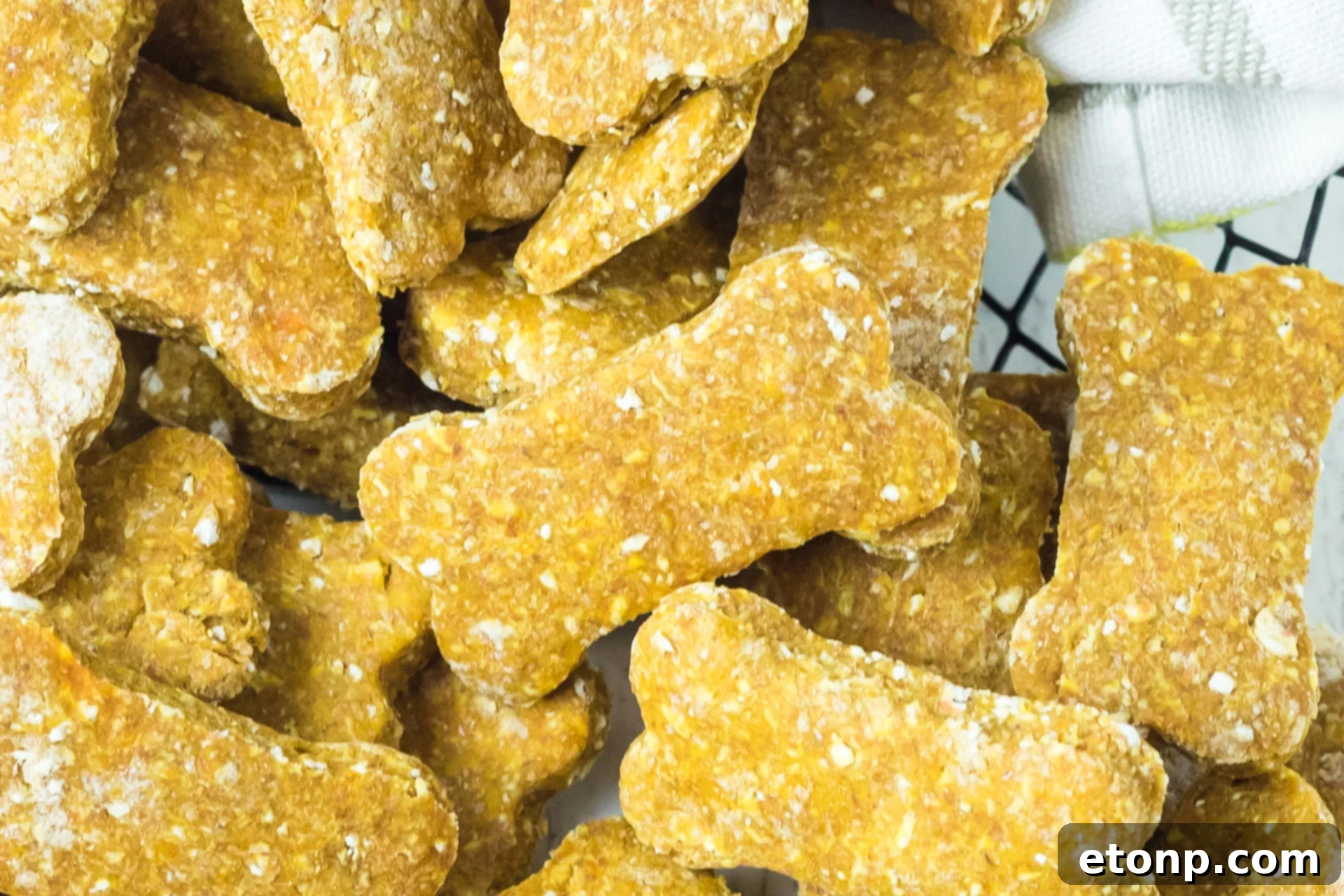 A closer look at the delicious Sweet Potato and Pumpkin Dog Treats, showing their uniform texture and appealing shapes, ready to be enjoyed by any dog.