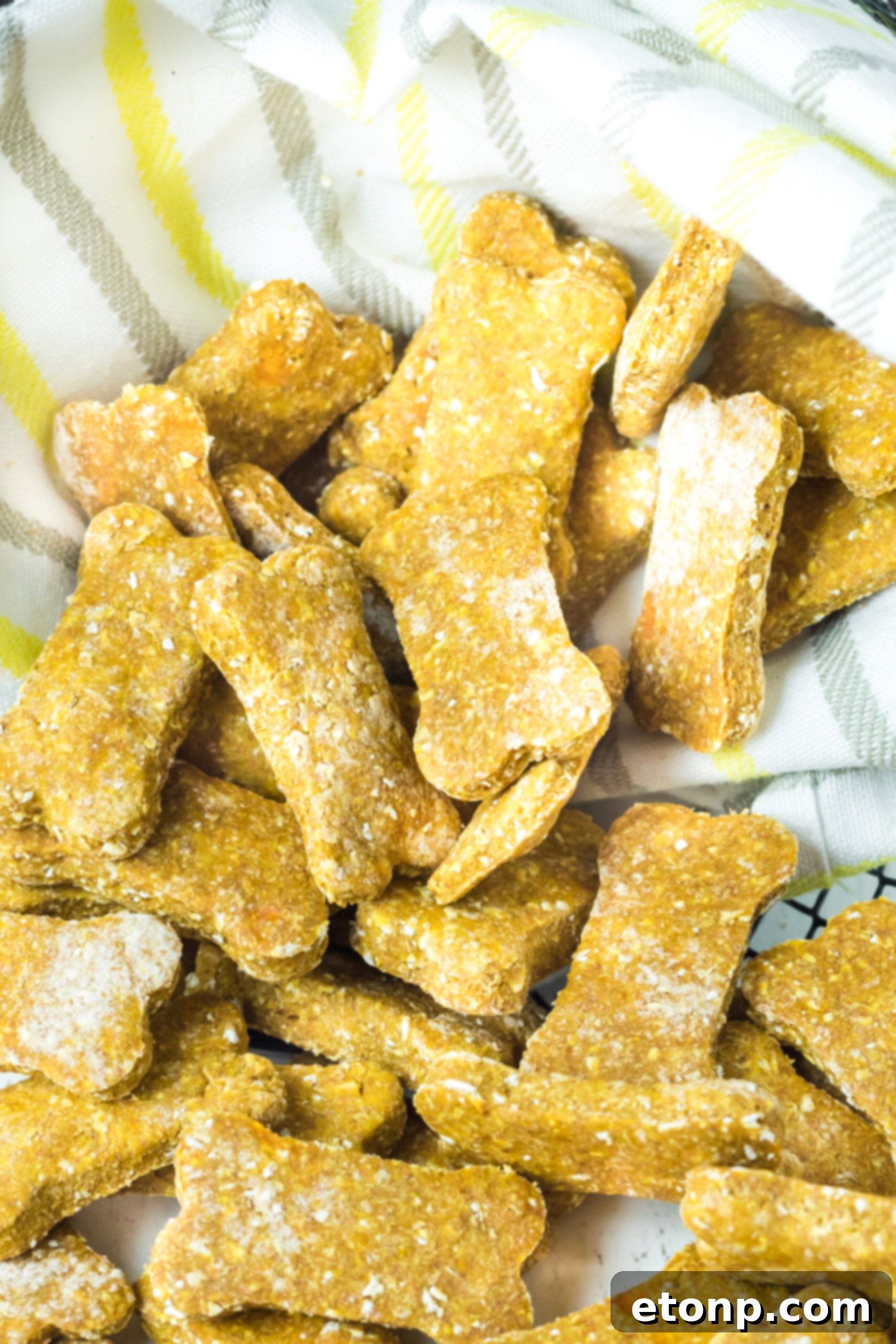Another close-up perspective of the Sweet Potato and Pumpkin Dog Treats, emphasizing their consistent golden hue and hearty appearance, ideal for a wholesome snack.
