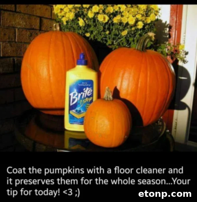 Step-by-step guide on how to make flowers using autumn leaves