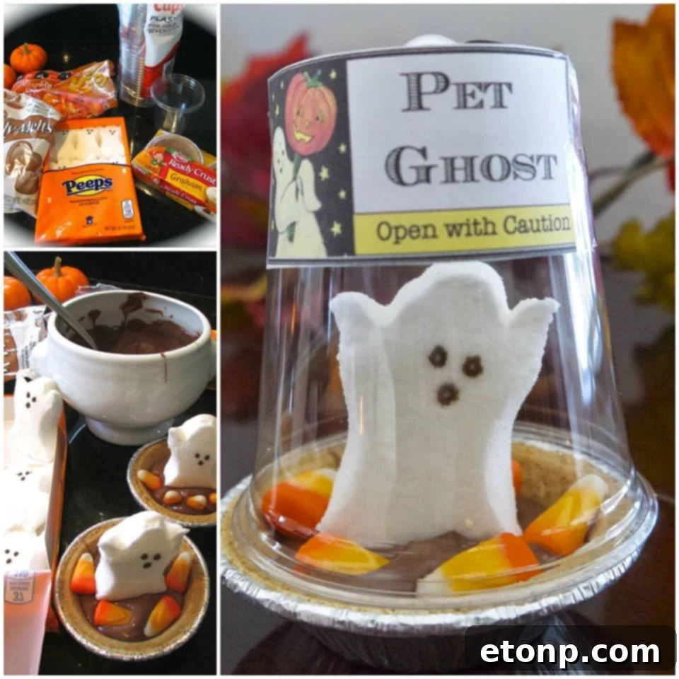 Brilliant reversible pumpkin and ornament decoration for multiple seasons