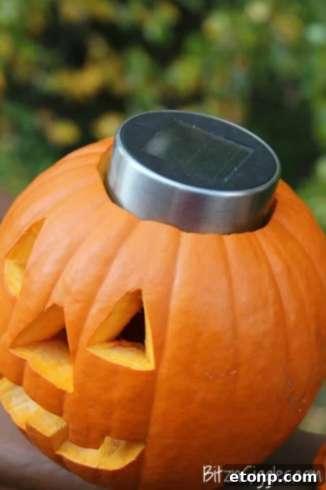 Genius tomato cage Halloween decorations for outdoor display