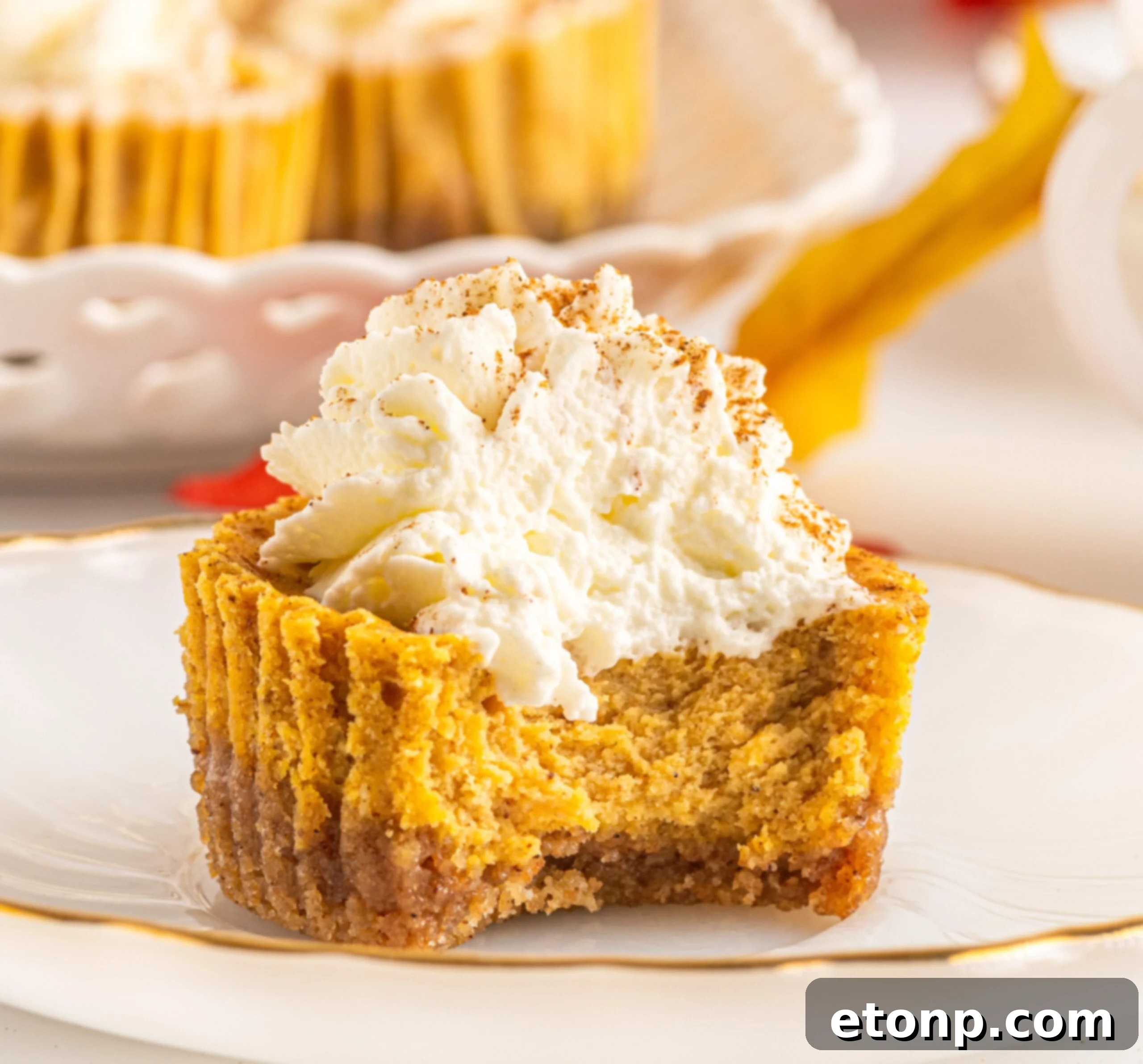 Beautifully arranged mini pumpkin cheesecakes with spiced topping, ready for fall entertaining.