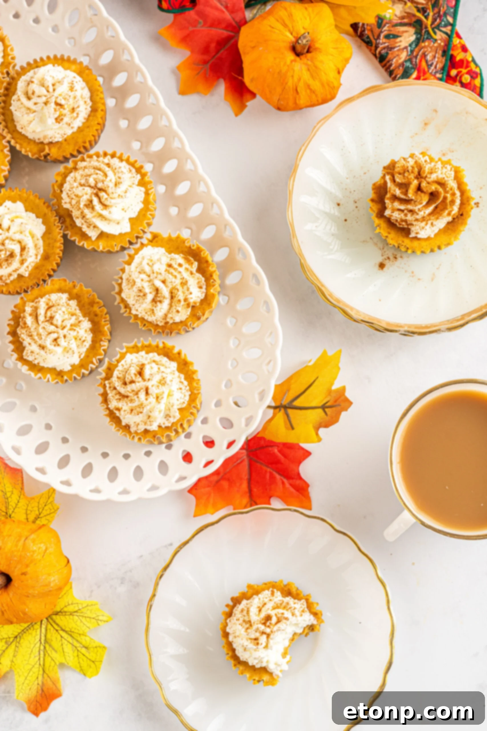 Overhead view of multiple Mini Pumpkin Cheesecakes artfully arranged on white dishes, garnished for serving.