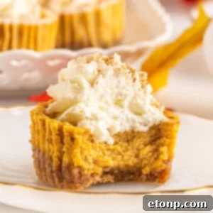 Mini Pumpkin Cheesecakes