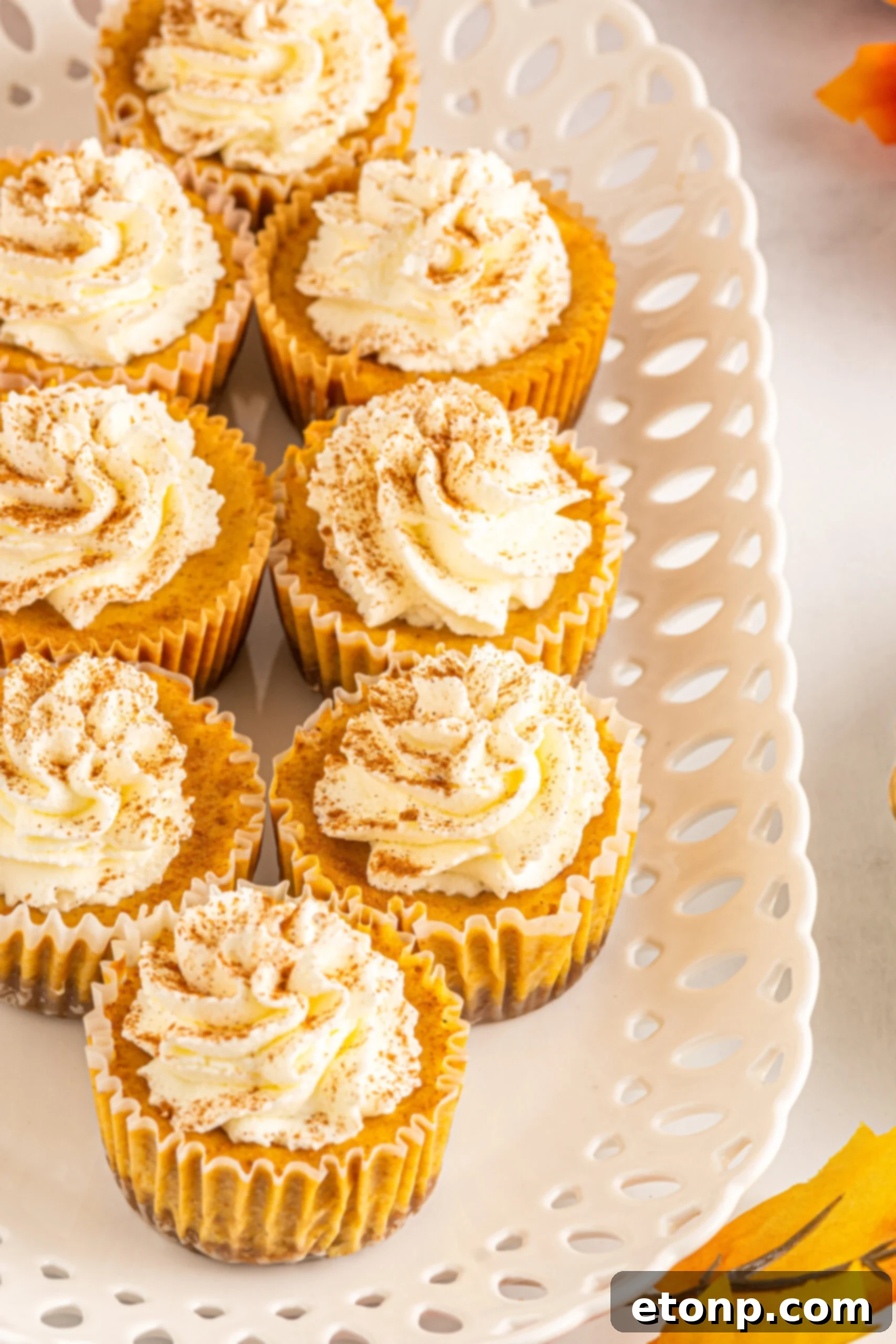 Front view of golden-brown Mini Pumpkin Cheesecakes beautifully presented on a pristine white serving dish.