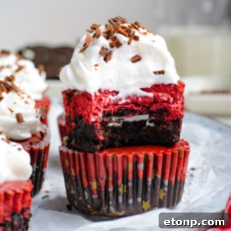 Mini Red Velvet Oreo Cheesecakes