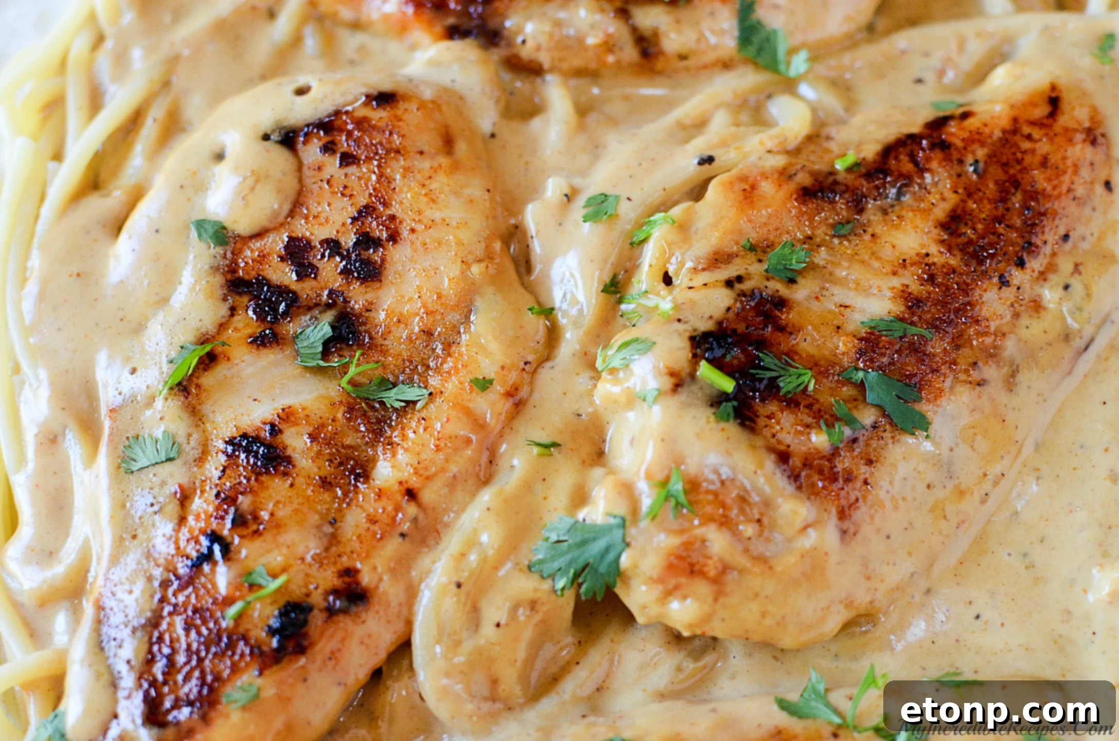 Plated Chicken Lazone with spaghetti and fresh parsley