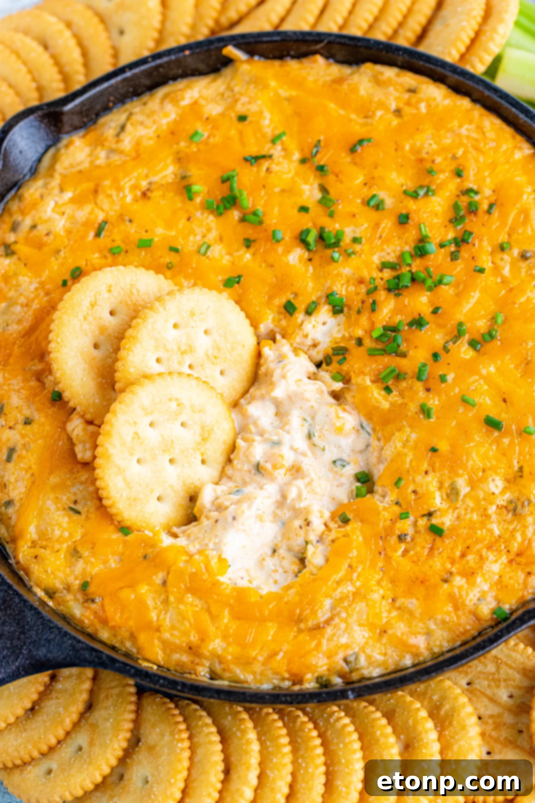 Decadent Crab Delight 15 Close up view of Crab Dip Recipe in a cast iron skillet served with crackers and vegetables.