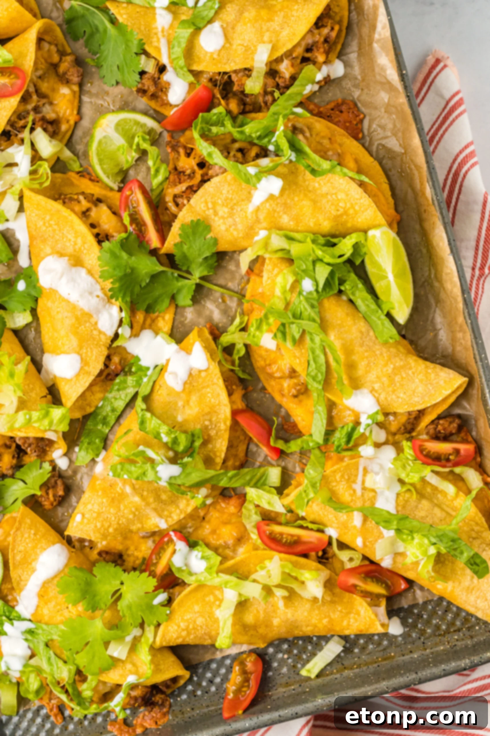 Overhead view of several Crispy Baked Beef Tacos arranged neatly on a sheet pan, garnished with fresh cilantro.