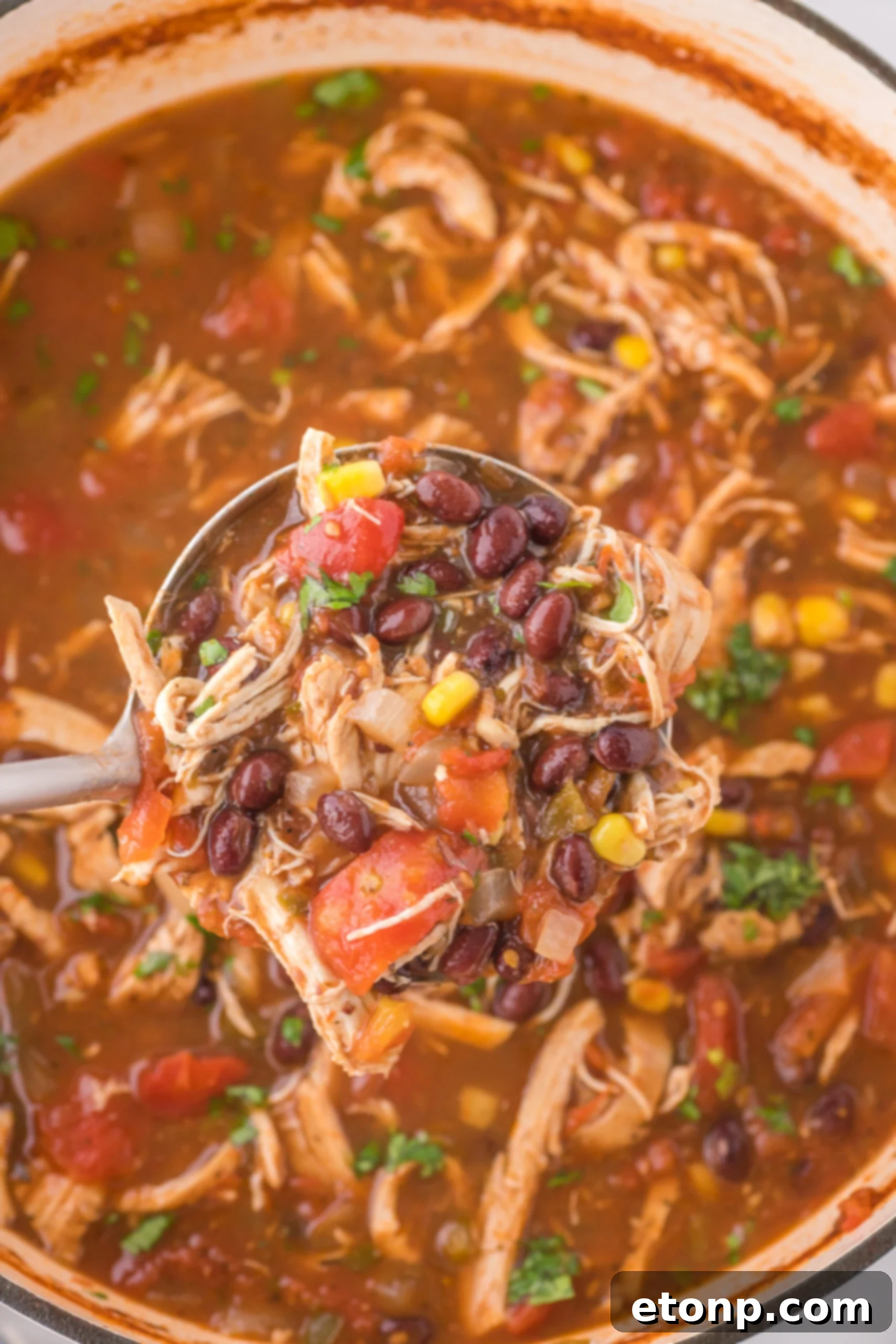A close-up of hearty Chicken Taco Soup with a spoon lifting a portion, showcasing tender chicken, black beans, corn, and rich broth.