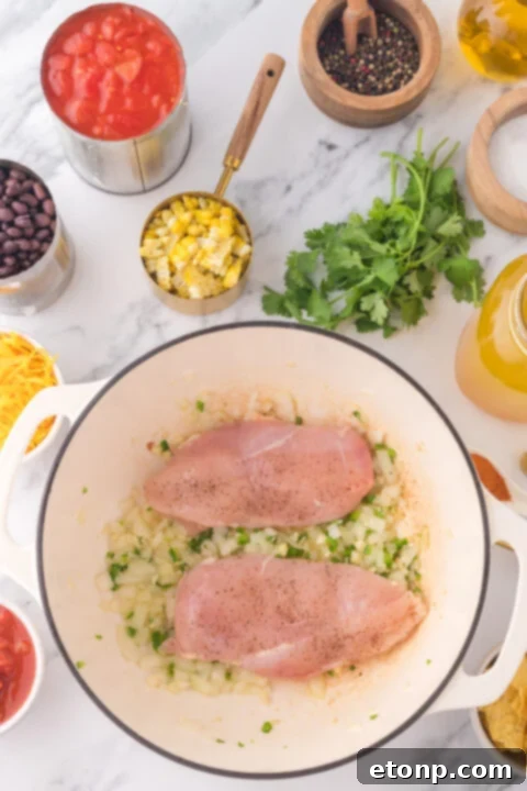 A close-up shot of the vibrant ingredients within the chicken taco soup, featuring corn and beans.