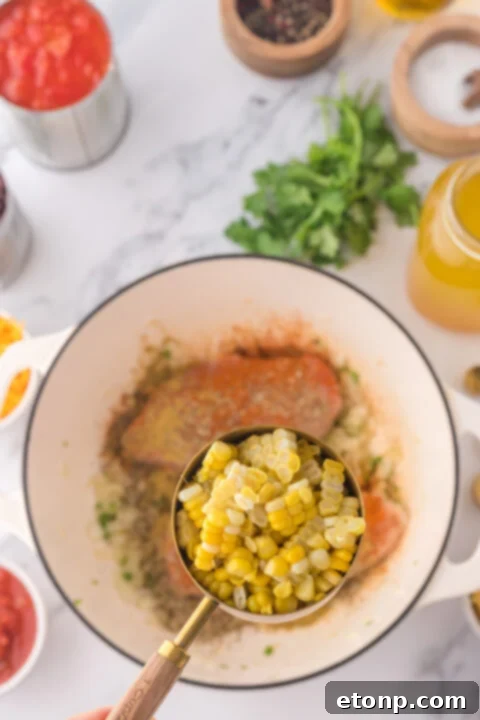 Overhead view of a finished bowl of chicken taco soup with fresh toppings.