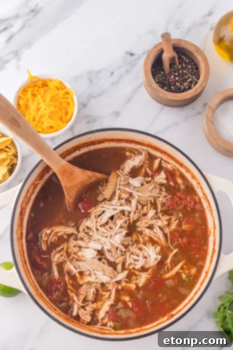 Serving spoons dipping into a large pot of freshly made chicken taco soup.