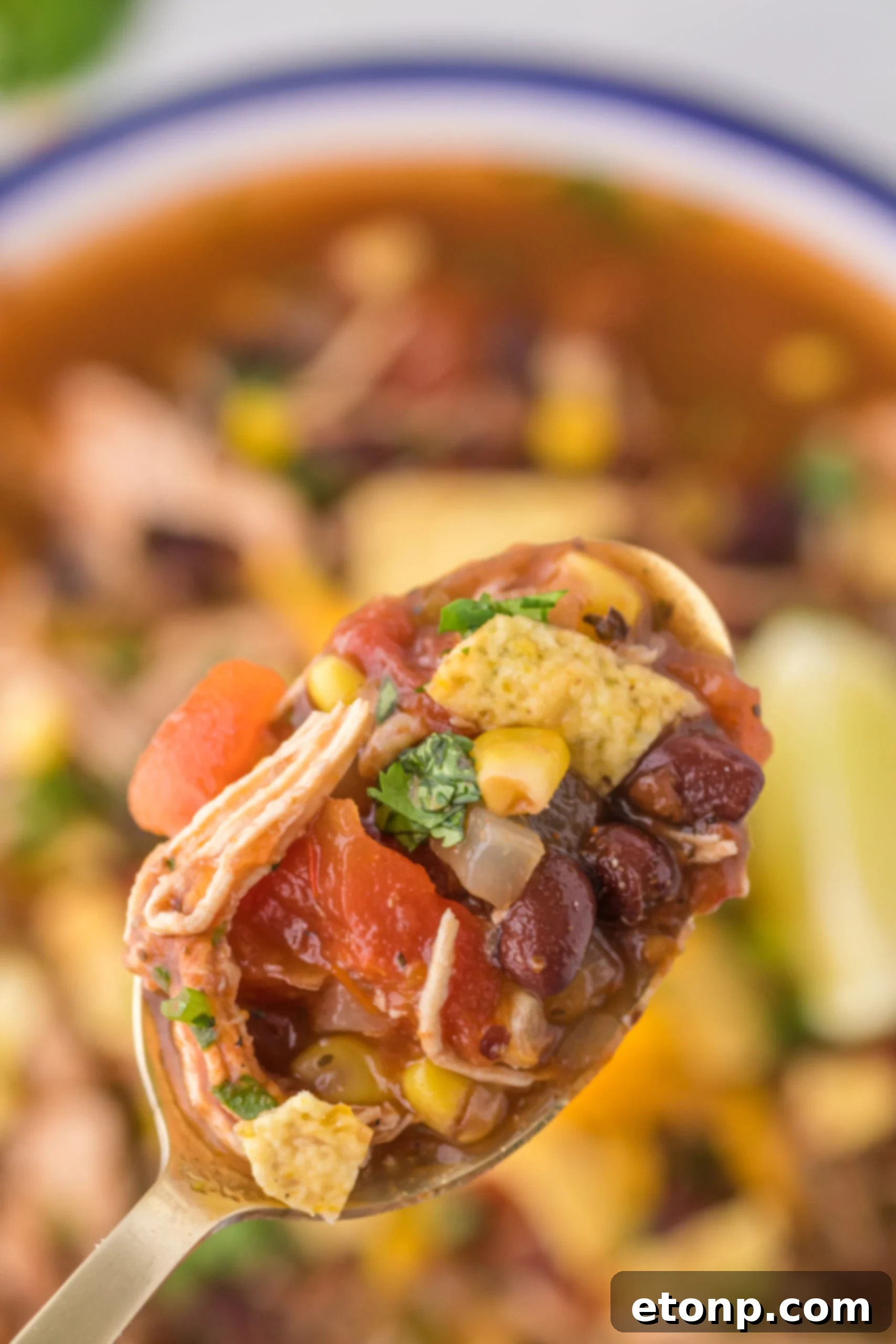 A close-up of a spoonful of Chicken Taco Soup with shredded chicken, corn, and black beans, served in a gold spoon.