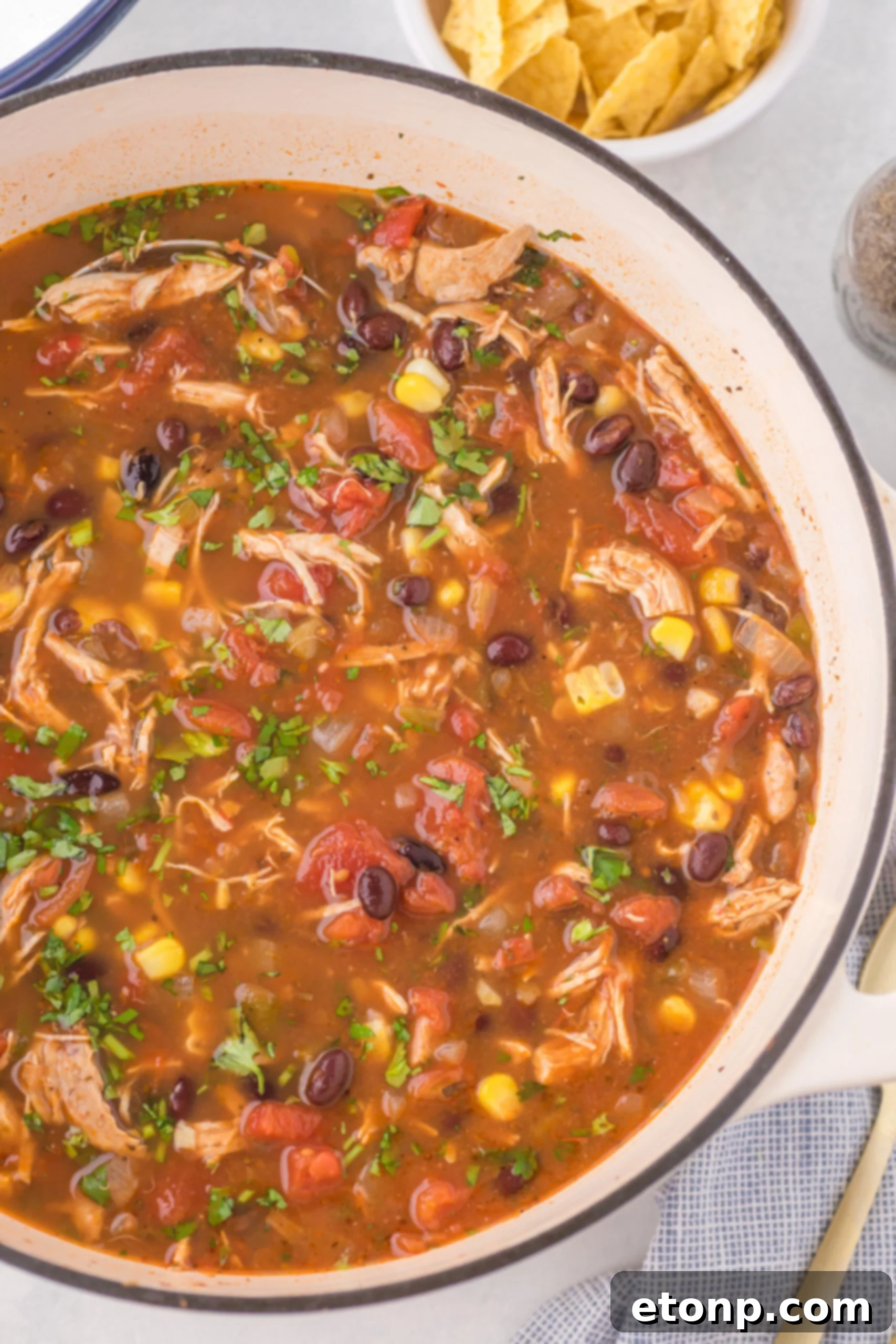 An overhead shot of Chicken Taco Soup simmering in a rustic Dutch oven pot, showing the rich colors and bubbling texture.