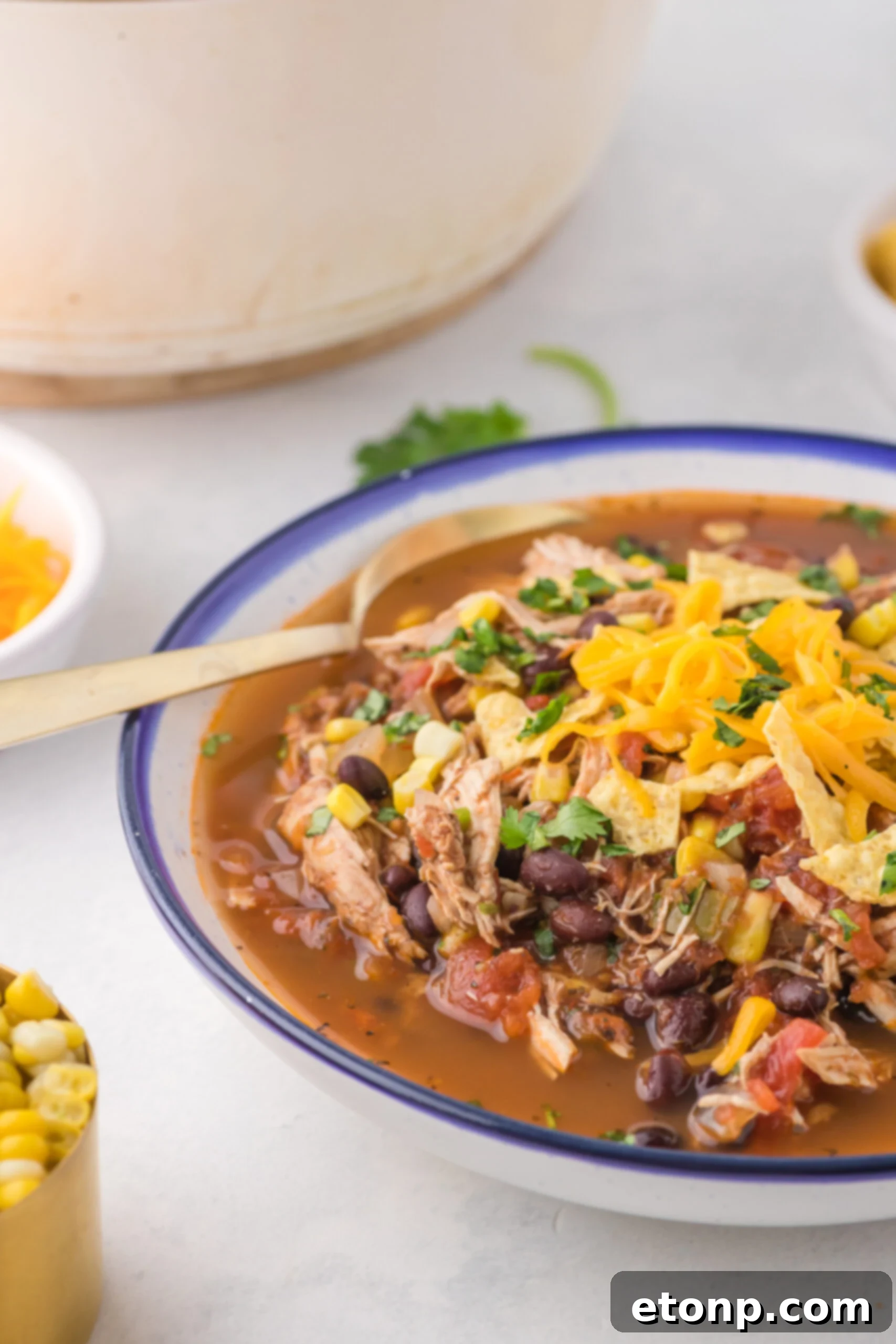 A close-up view of a bowl of Chicken Taco Soup, expertly garnished with cheese, cilantro, and a lime wedge, ready to be enjoyed with a golden spoon.