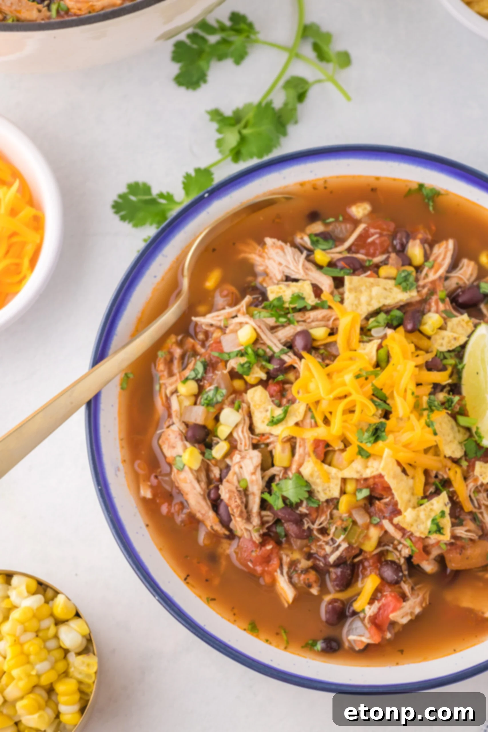 An overhead perspective of Chicken Taco Soup served in a rustic bowl, accompanied by a golden spoon, perfect for a cozy meal.