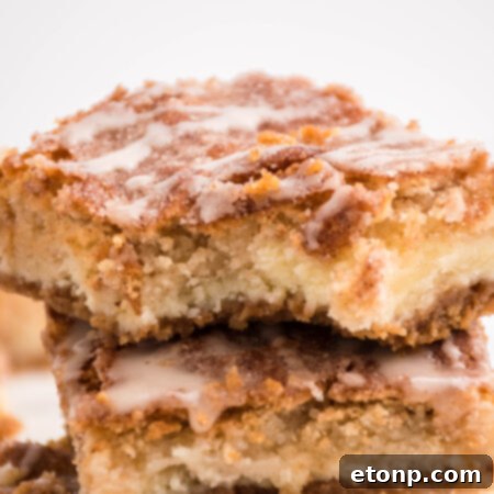 Snickerdoodle Cheesecake Bars