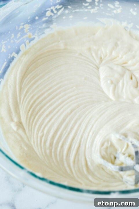 Various angles and close-ups of the Classic Vanilla Cake, showcasing its beauty.