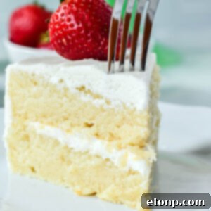Classic Vanilla Cake