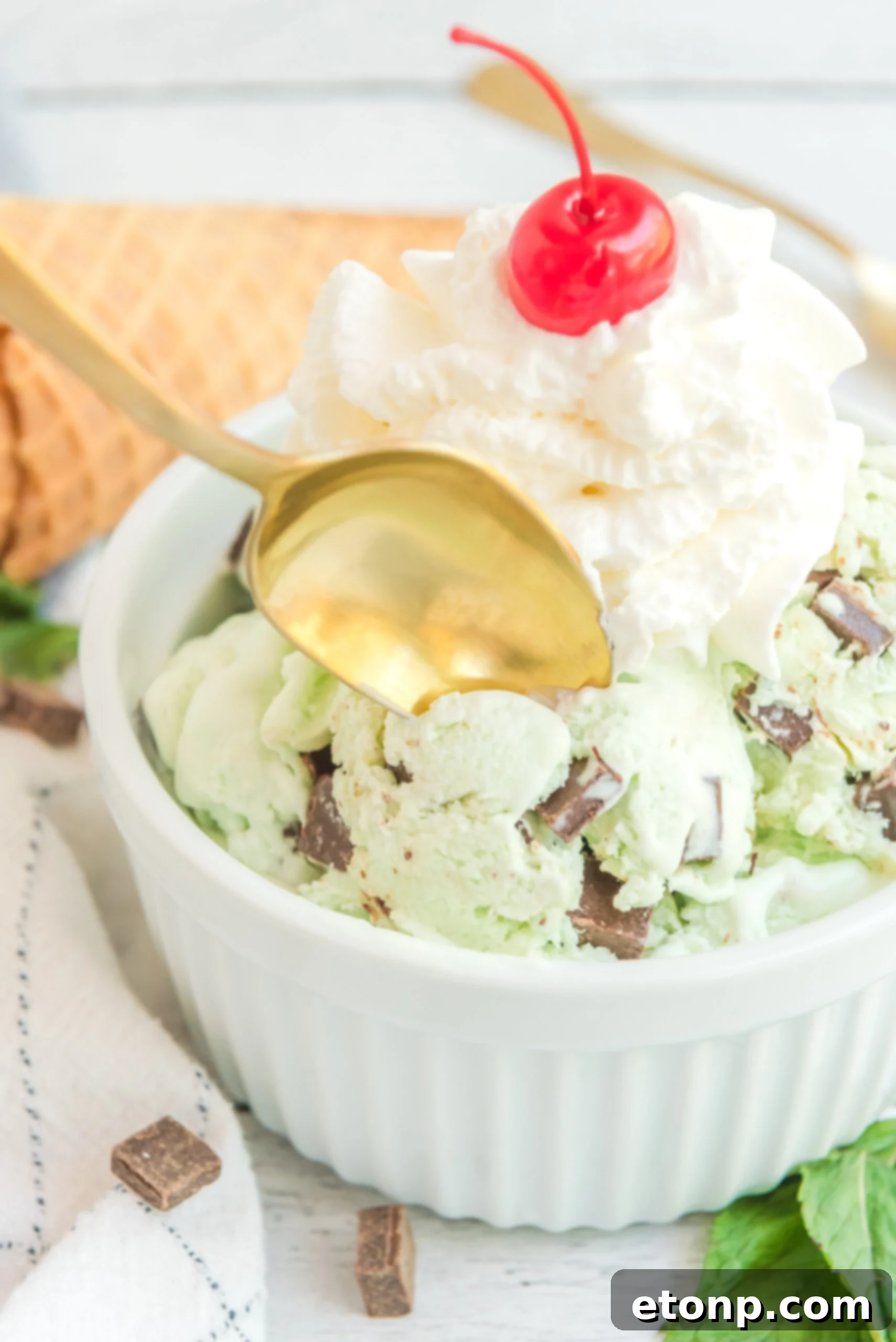 Mint Chocolate Chip Ice Cream in a white bowl topped with a cherry and whipped cream
