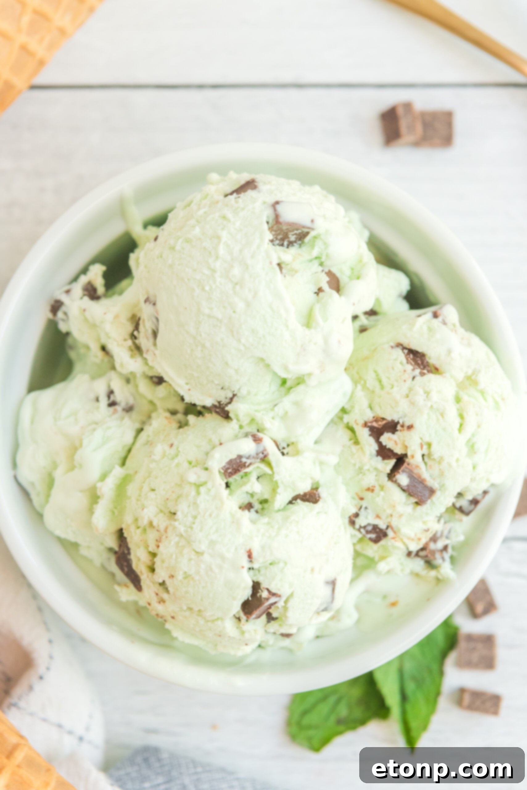 Overhead view of scoops of Mint Chocolate Chip Ice Cream in a white bowl.