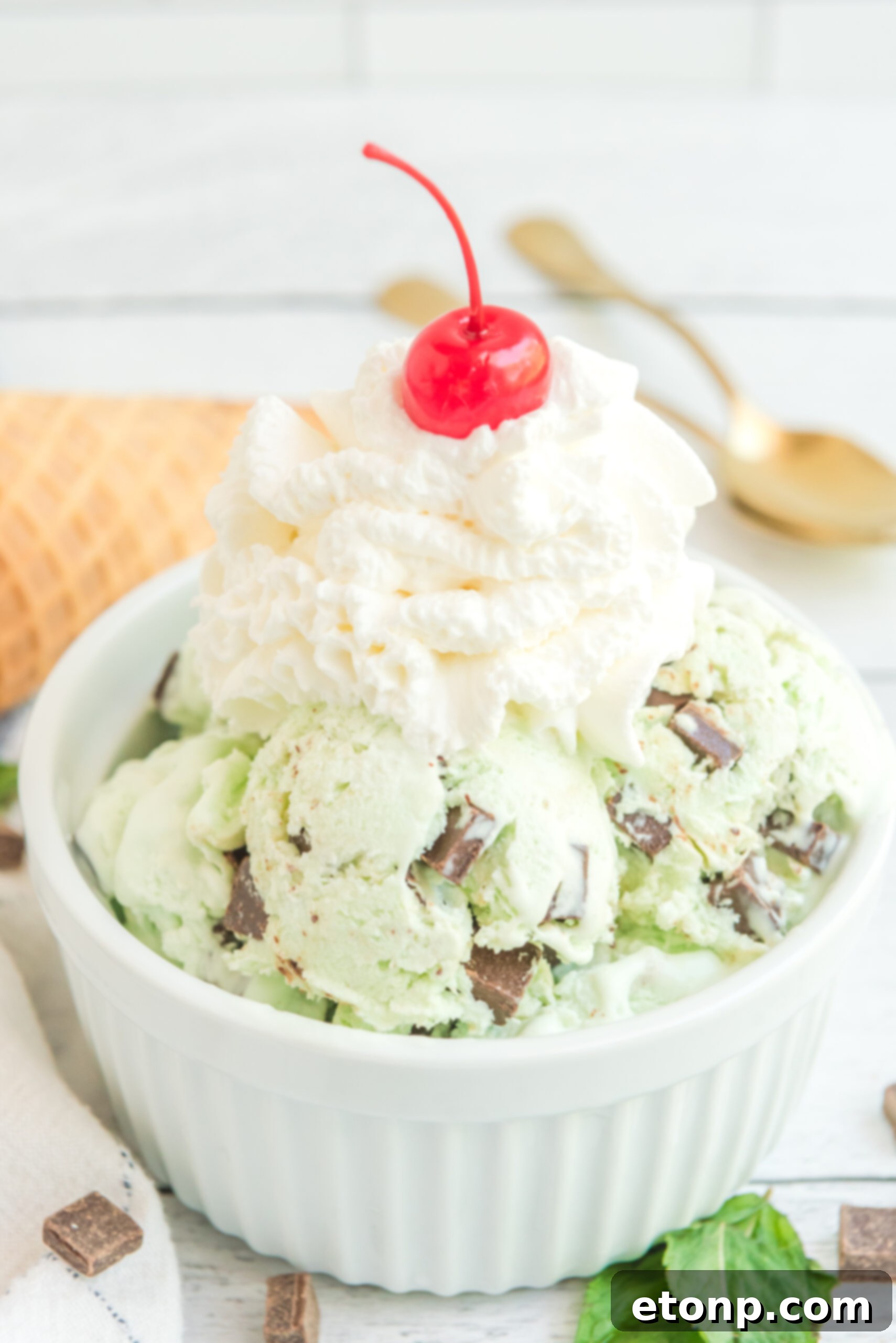 Close up view of scoops of Mint Chocolate Chip Ice Cream in a white bowl garnished with whipped cream and cherry.