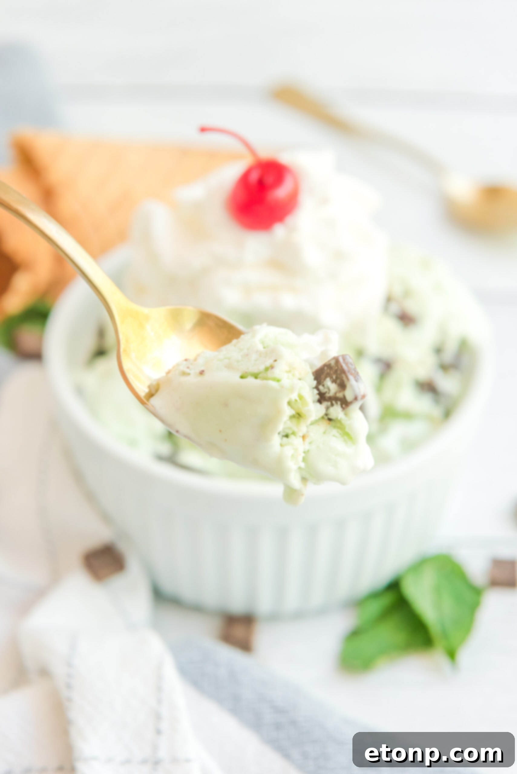 Close up view of a gold spoon with a bite of Mint Chocolate Chip Ice Cream.