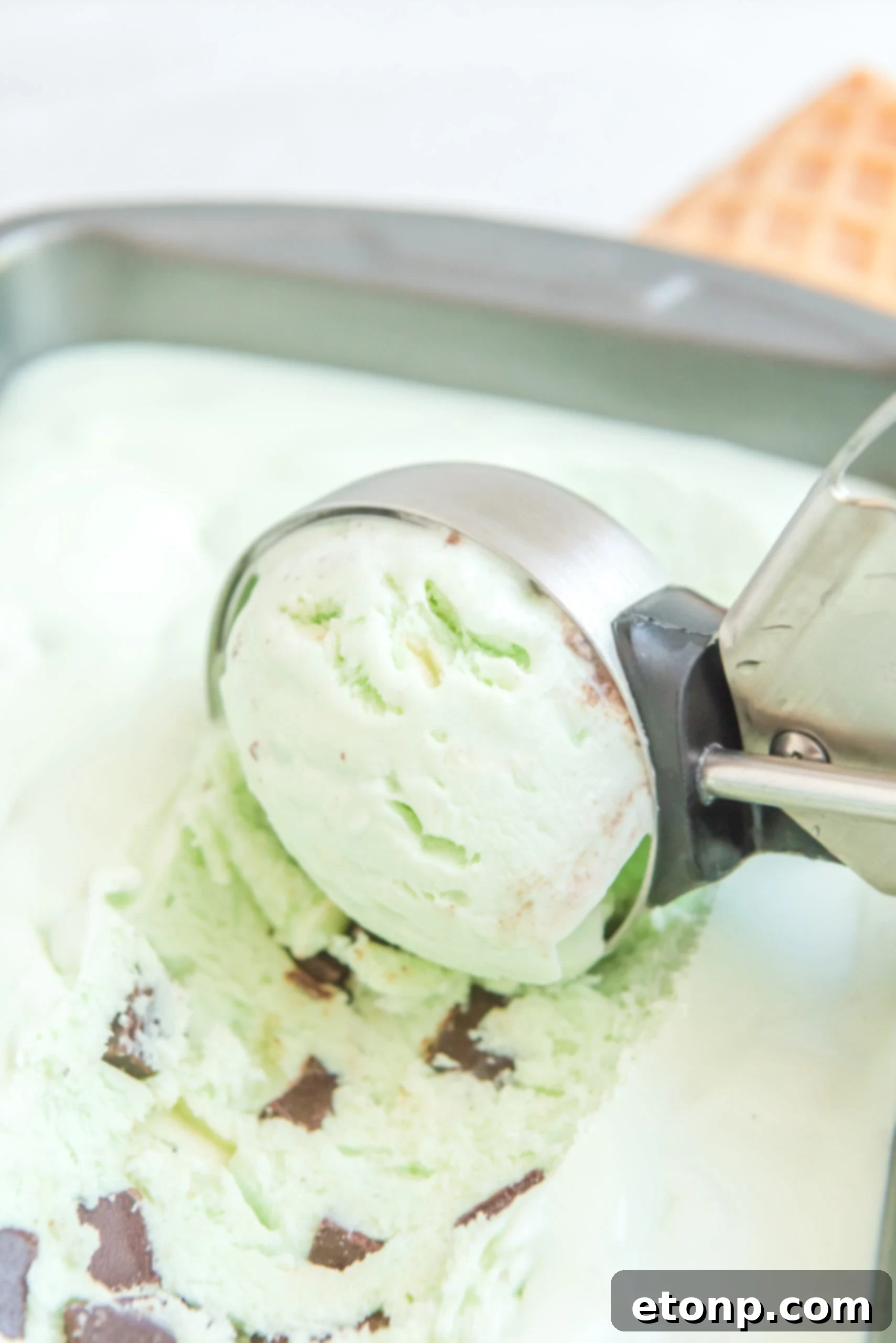 Close up view of an ice cream scoop scooping Mint Chocolate Chip Ice Cream.