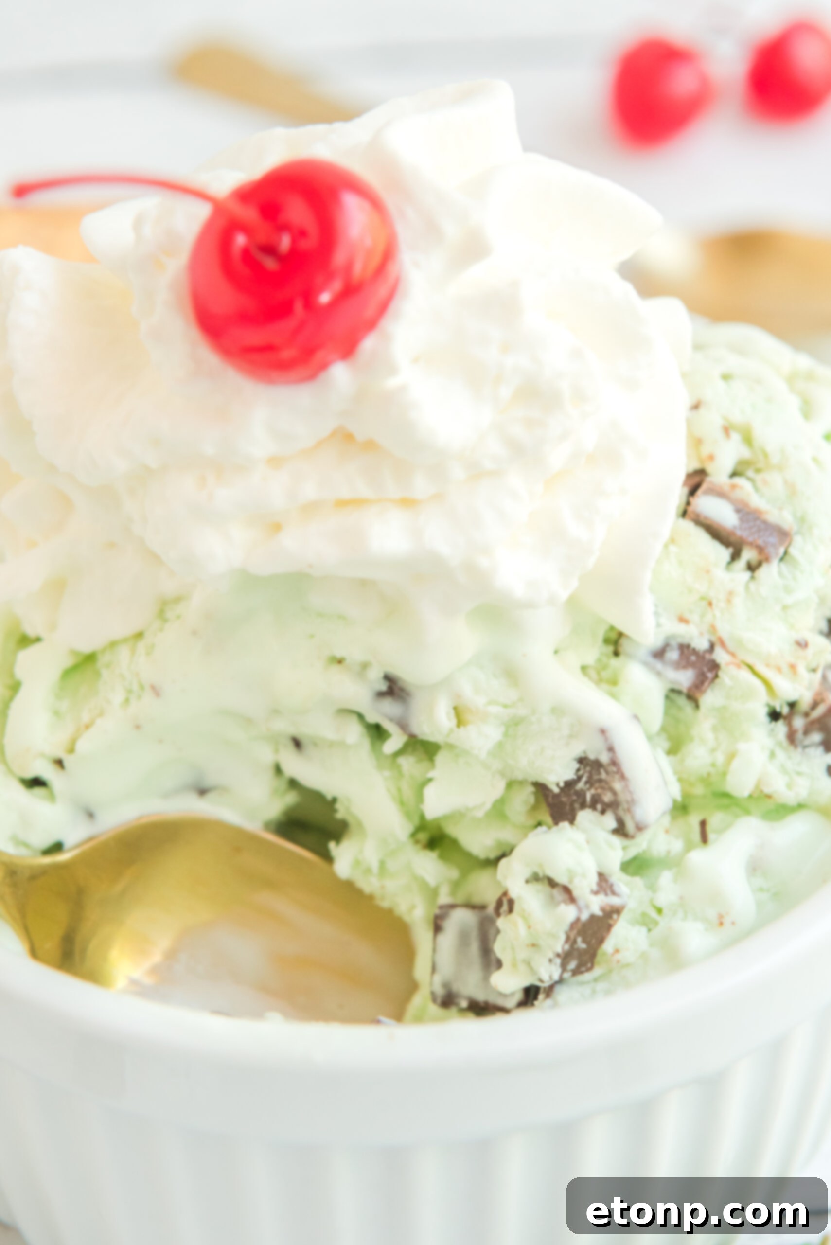 Close up view of scoops of Mint Chocolate Chip Ice Cream in a white bowl garnished with whipped cream and cherry.