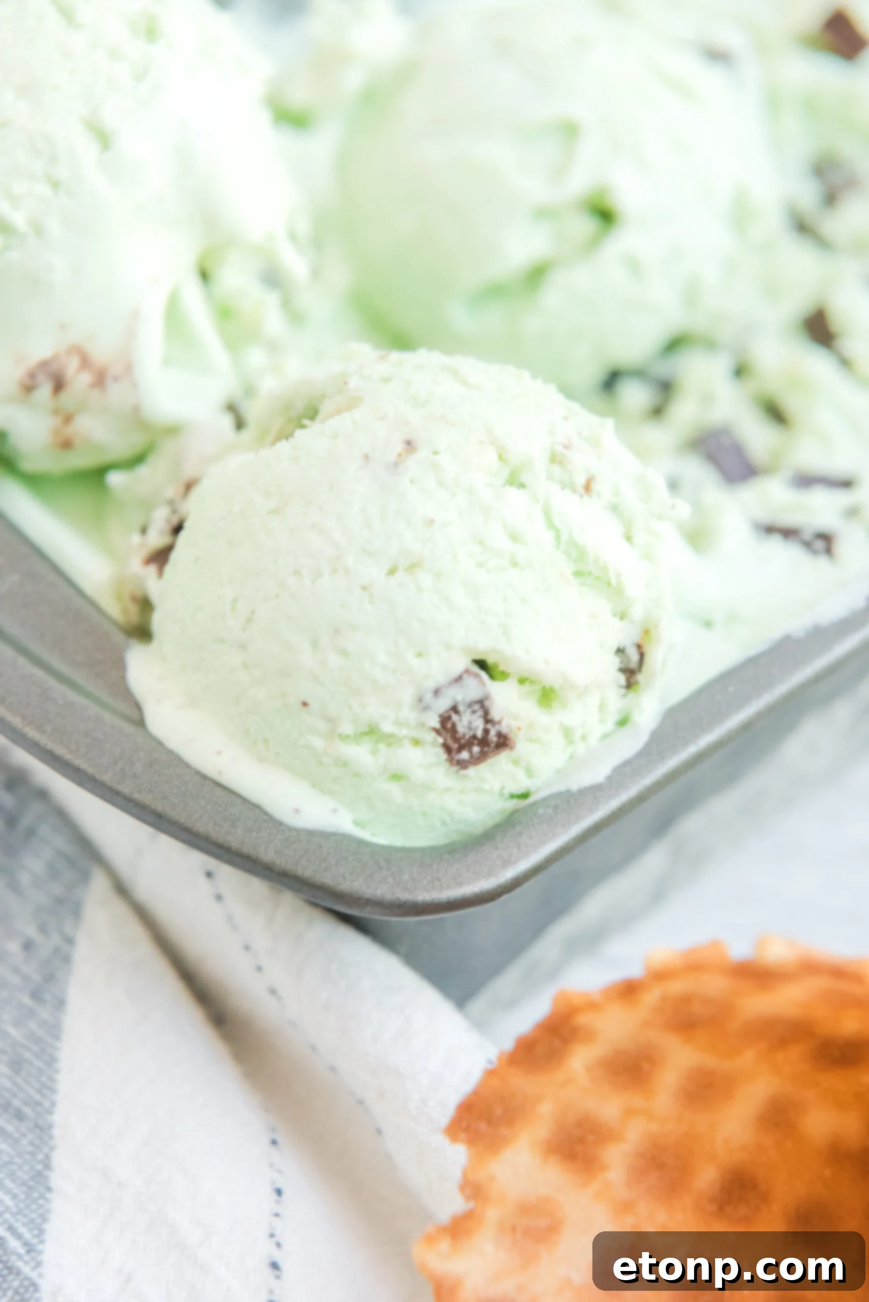 Close up view of a scoop of Mint Chocolate Chip Ice Cream in a silver baking dish.