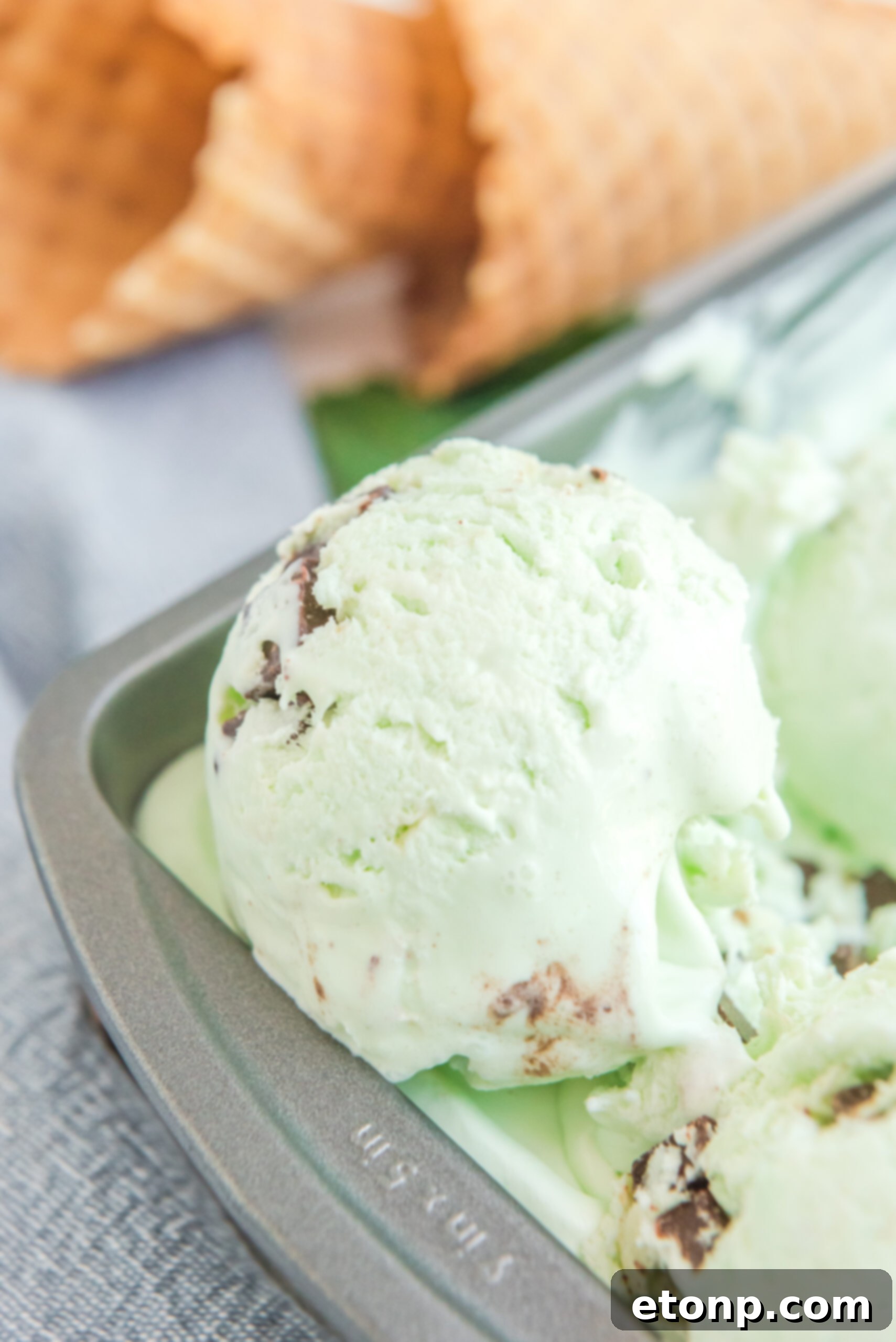 Close up view of a scoop of Mint Chocolate Chip Ice Cream in a silver baking dish.