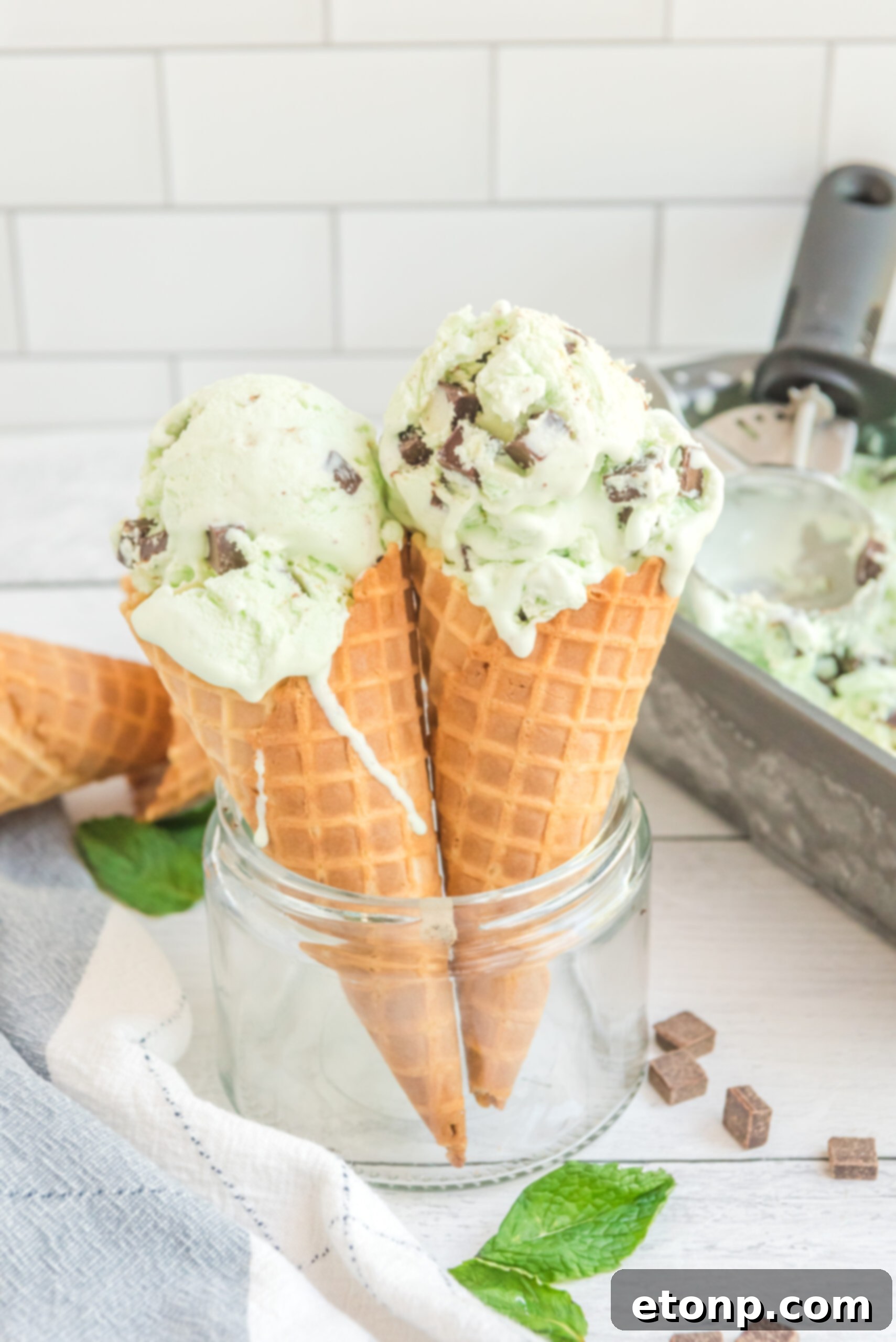 Front view of two scoops of Mint Chocolate Chip Ice Cream in two ice cream cones.
