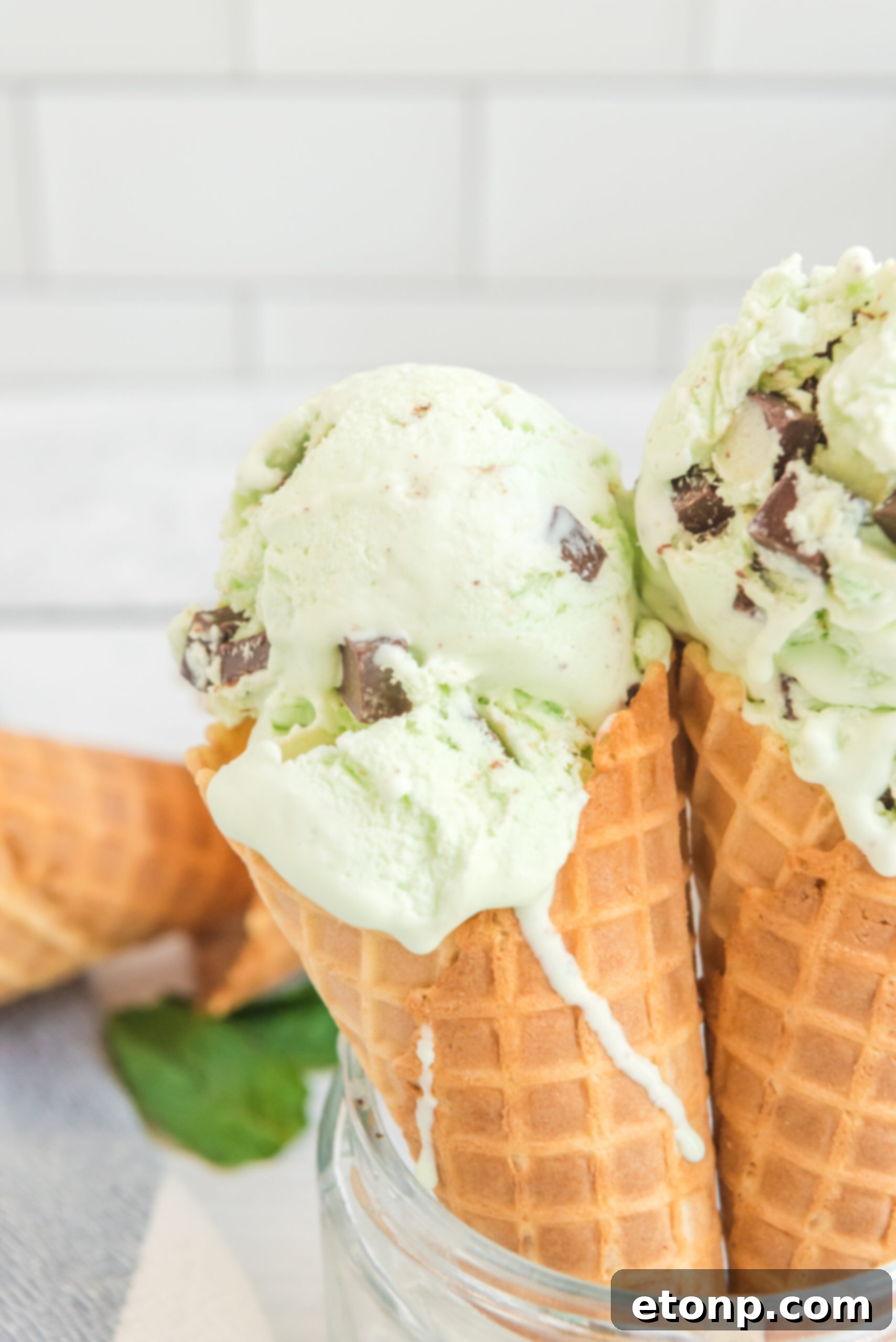 Close up view of two scoops of Mint Chocolate Chip Ice Cream in two ice cream cones.
