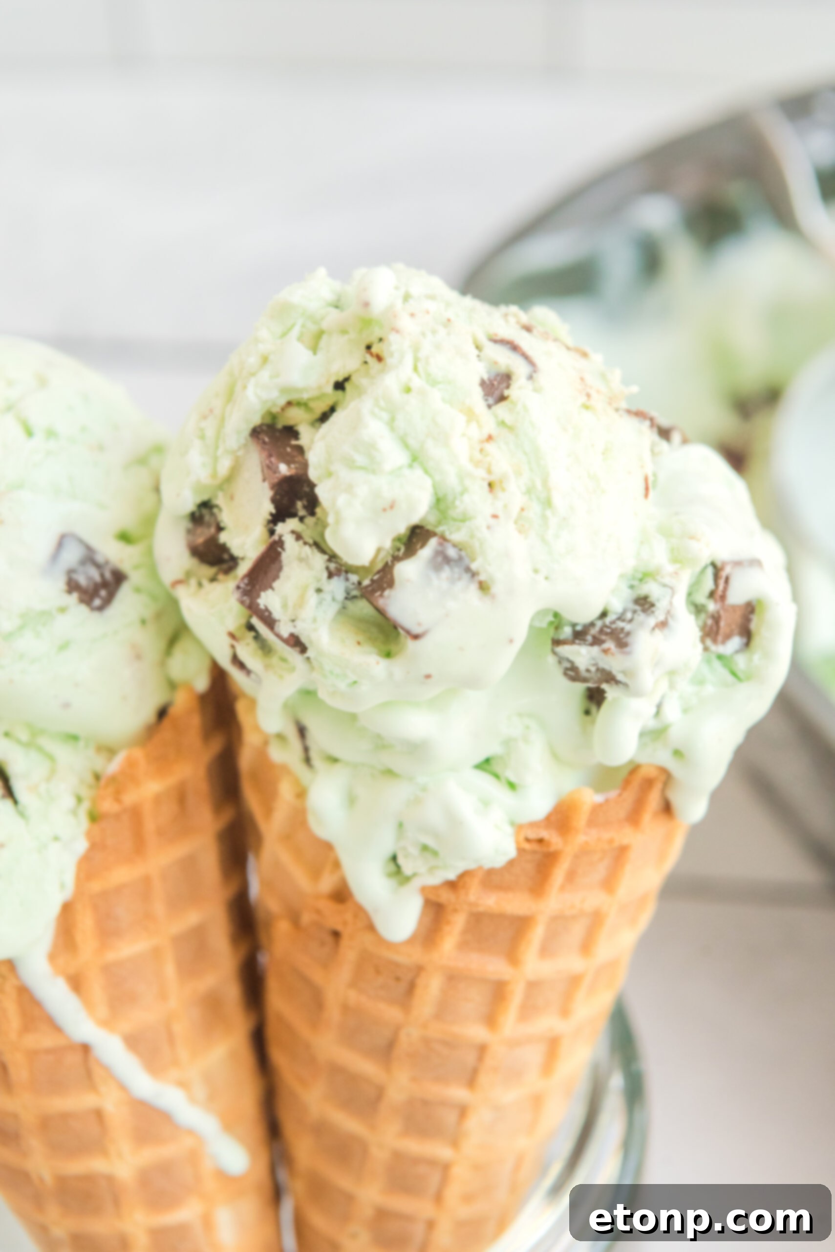 Close up view of two scoops of Mint Chocolate Chip Ice Cream in two ice cream cones.