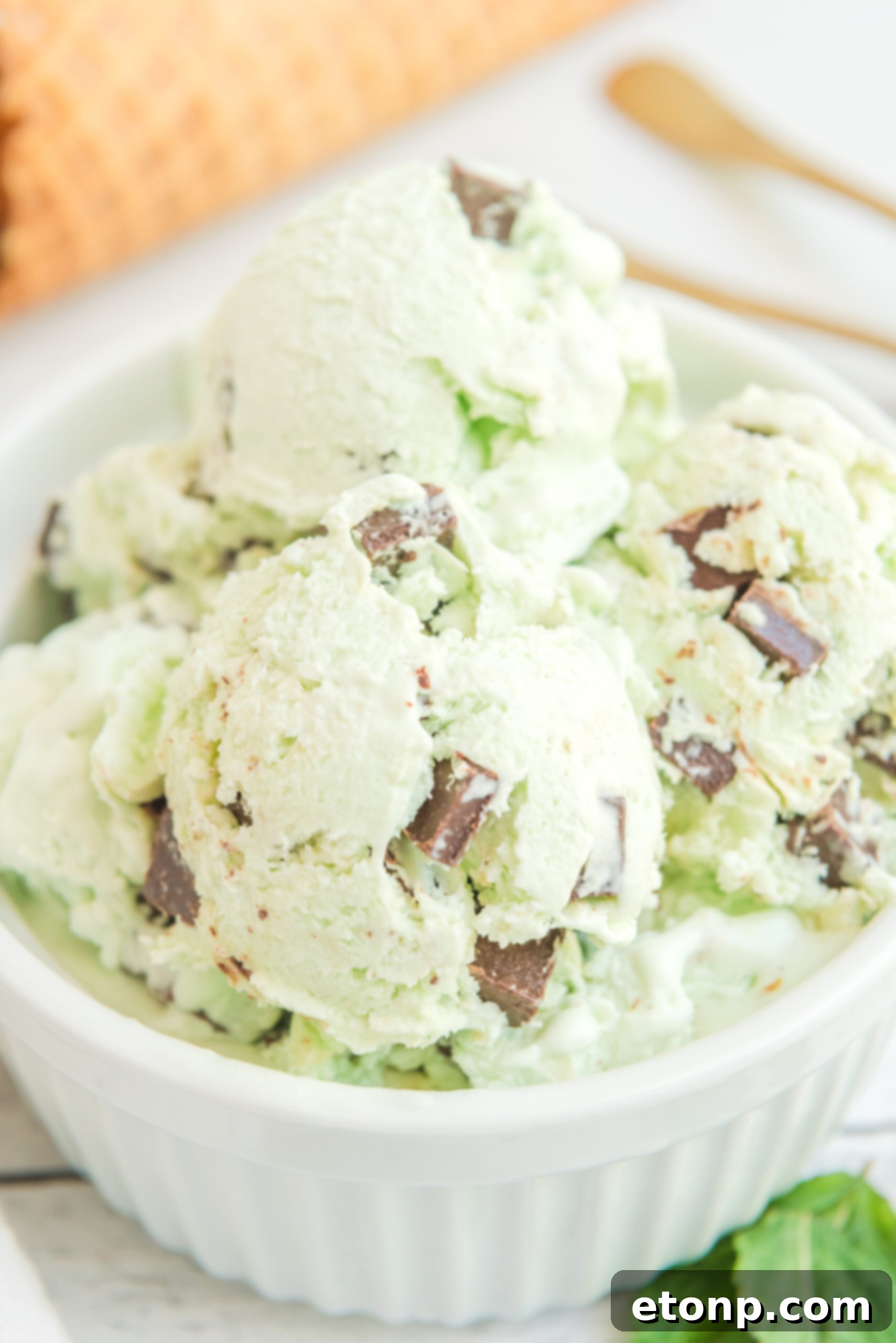 Close up view of scoops of Mint Chocolate Chip Ice Cream in a white bowl.