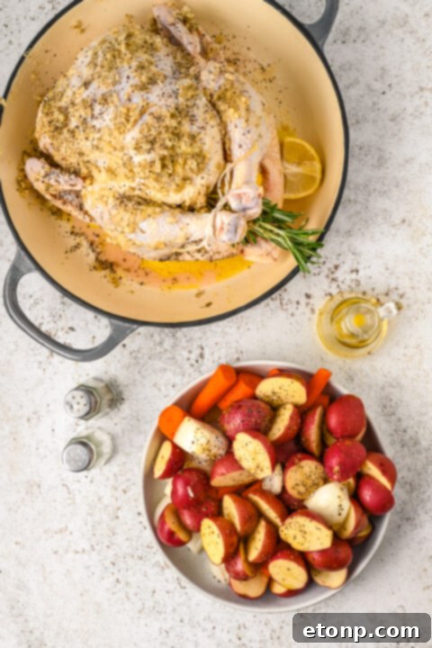 Golden Roasted Chicken and Garden Vegetables 11 img 25381 10