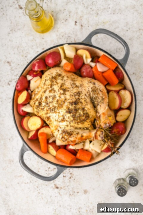 Golden Roasted Chicken and Garden Vegetables 12 img 25381 11