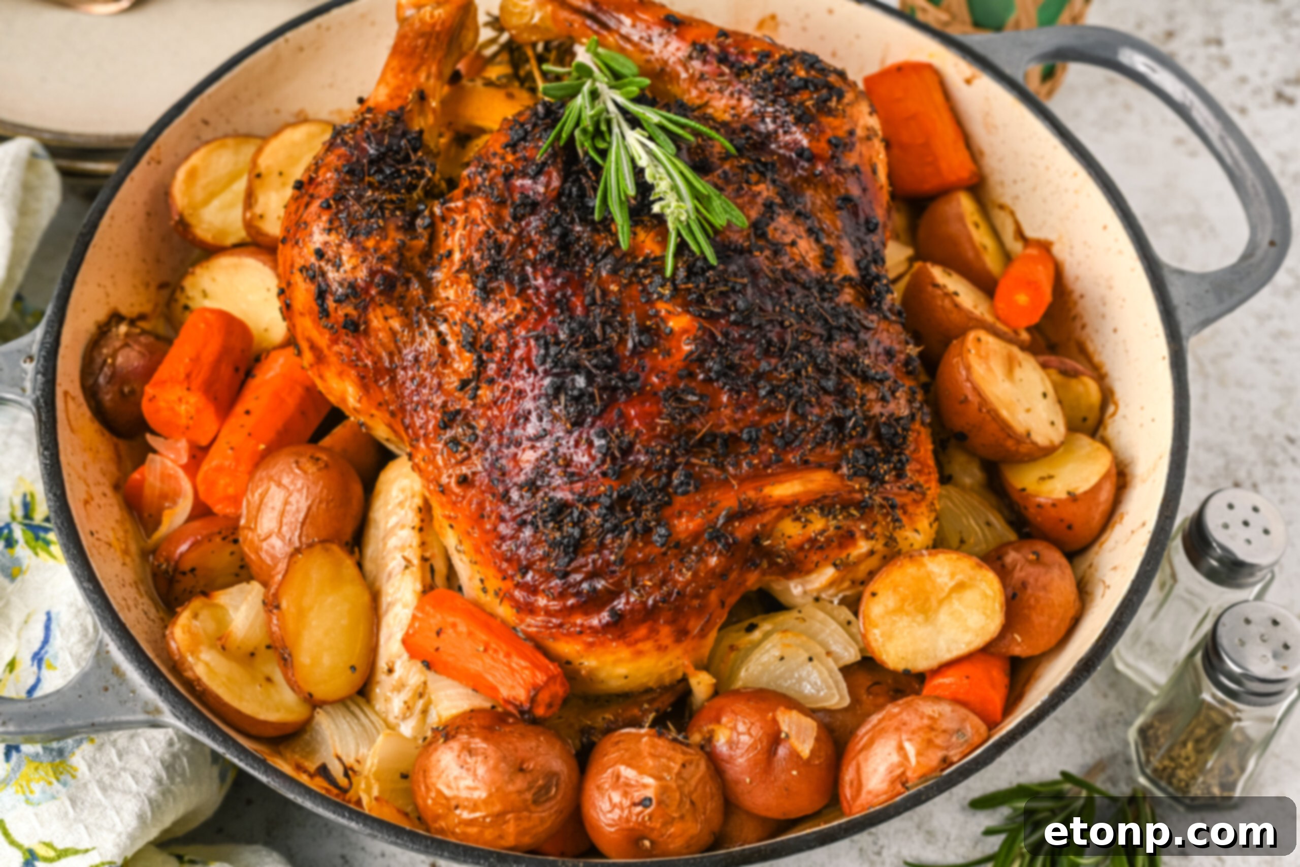 Golden Roasted Chicken and Garden Vegetables 15 Front view of Oven Baked Chicken and Vegetables in a baking dish.