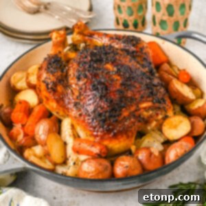 Golden Roasted Chicken and Garden Vegetables 16 Oven Baked Chicken and Vegetables