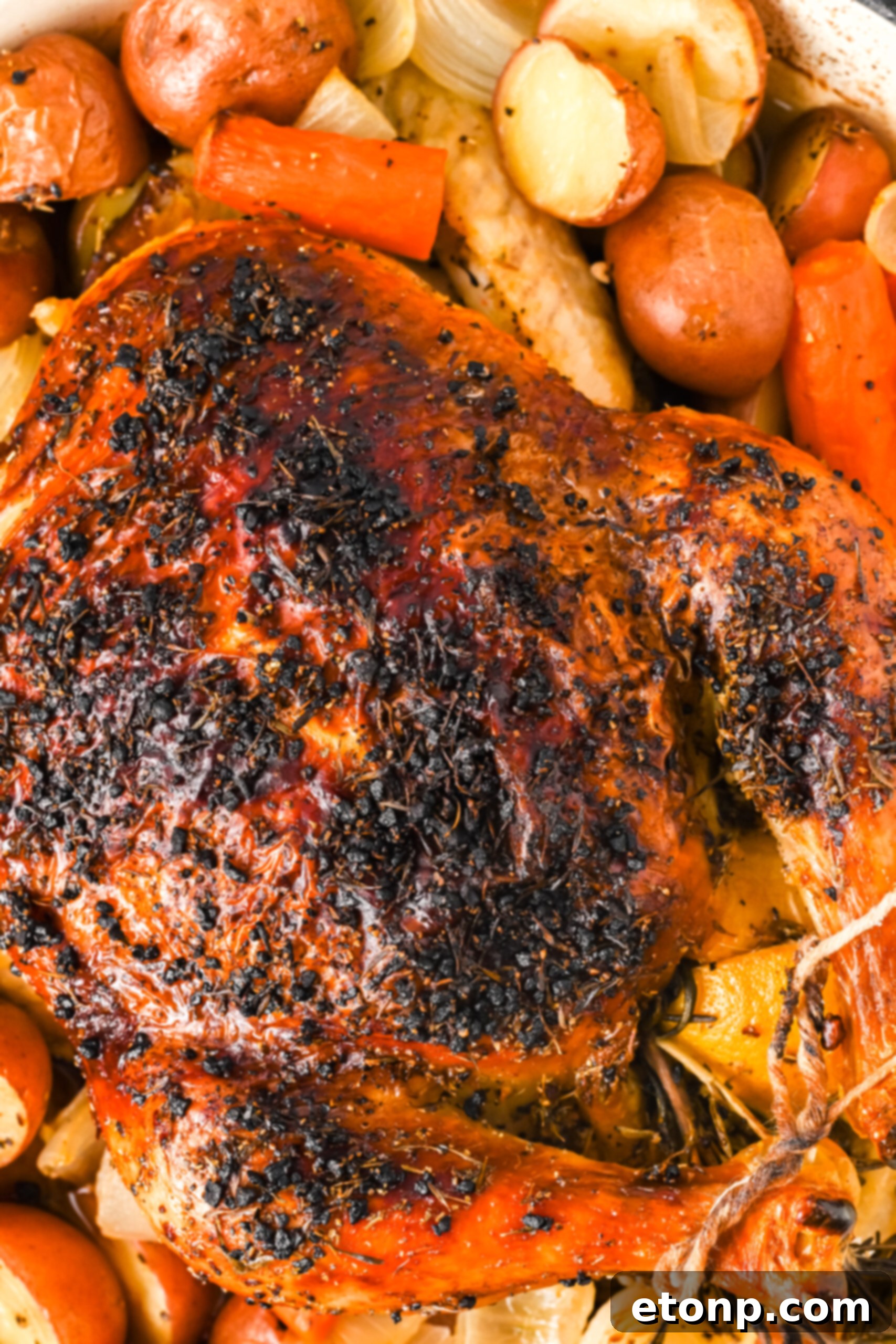 Golden Roasted Chicken and Garden Vegetables 4 Close up view of Oven Baked Chicken and Vegetables.