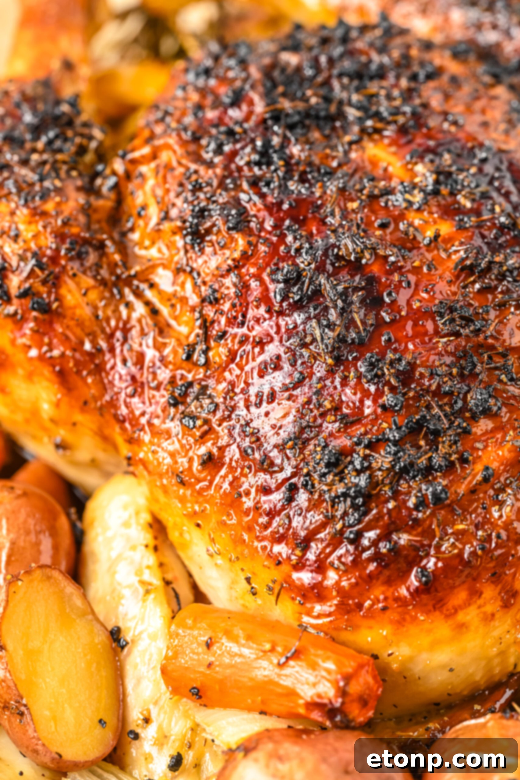 Golden Roasted Chicken and Garden Vegetables 7 Close up view of Oven Baked Chicken and Vegetables.