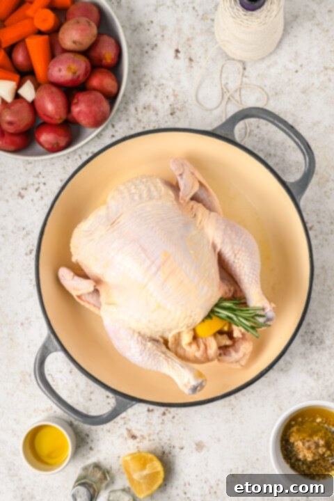 Golden Roasted Chicken and Garden Vegetables 10 img 25381 9