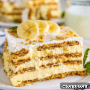 A tantalizing slice of Banana Icebox Cake, captured from a front perspective, rests invitingly on a white plate, highlighting its creamy layers and a sprinkle of garnish.