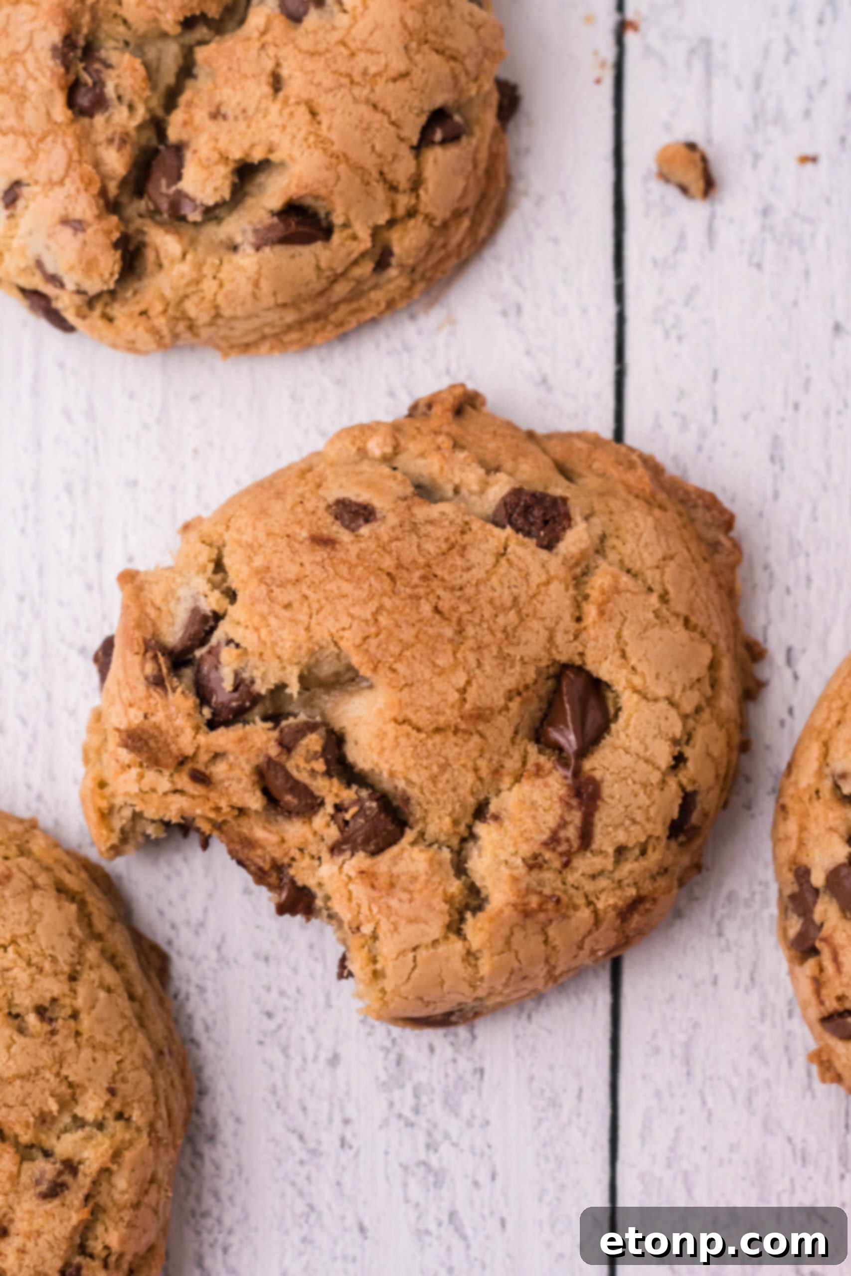 Overhead view of Kahlua Cookies with a  bite removed from the center cookie.