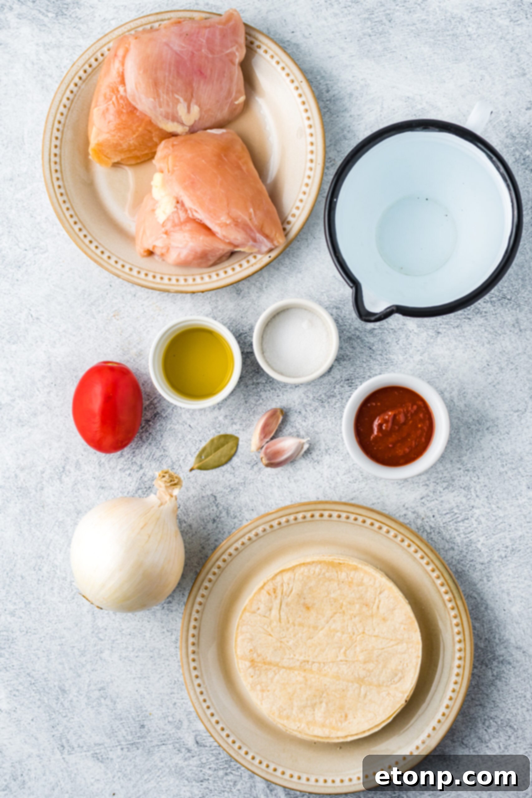 An overhead flat lay of all the fresh ingredients required for making Crispy Tinga Tacos, including chicken, tomatoes, onions, chipotles, and corn tortillas.