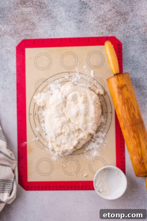 Step-by-step image of biscuit dough being prepared in a bowl, showing flour and sugar mixed.