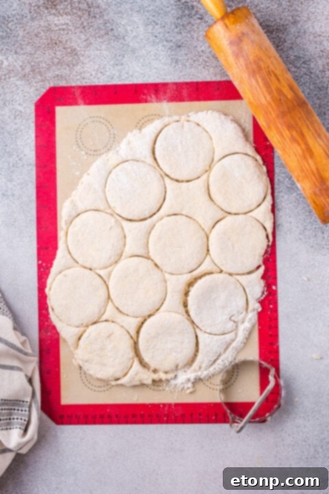 Step-by-step image of cold, cubed butter being added to biscuit dough ingredients.