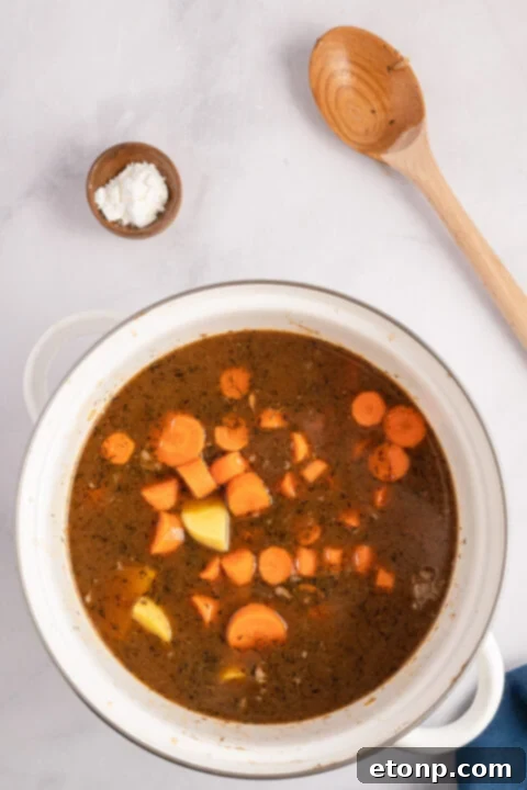 Simmering Irish Stew with potatoes and carrots