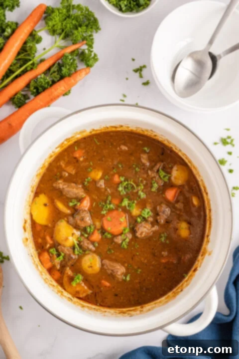 Finished Irish Stew ready to serve